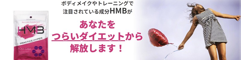 ʓIȃg[jOT|[g HMB PRACTICE HYPERTCg